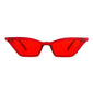Vintage Cat Eyes Sunglasses - TRANSPARENT RED - Save 30%